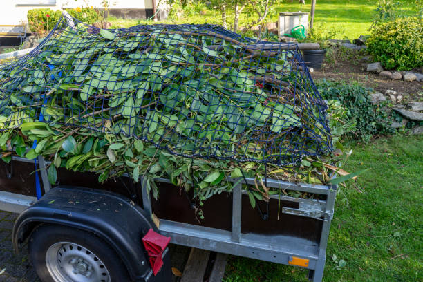 Professional Junk Removal Services in Lake Mohawk, NJ